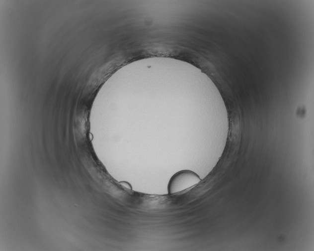 X0000114440334200911131521
