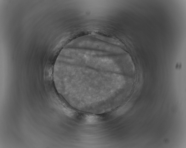 X0000114440336200911131521