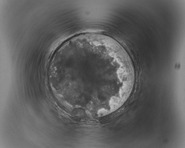 X0000114440337200911131520