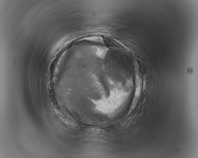 X0000114440339200911131520