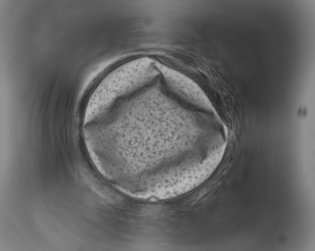 X0000114440342200911131520