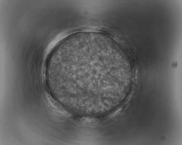 X0000114440343200911131520