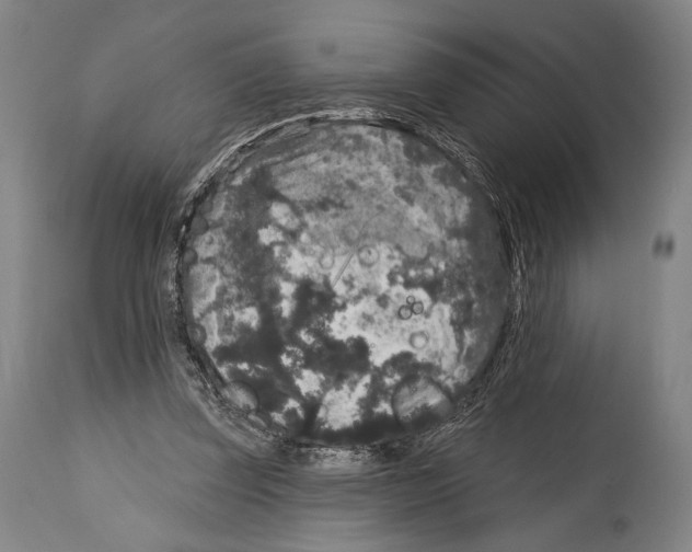 X0000114440347200911131521