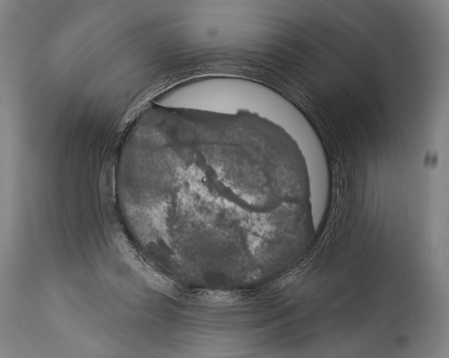 X0000114440349200911131521