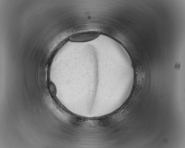 X0000114440350200911131521