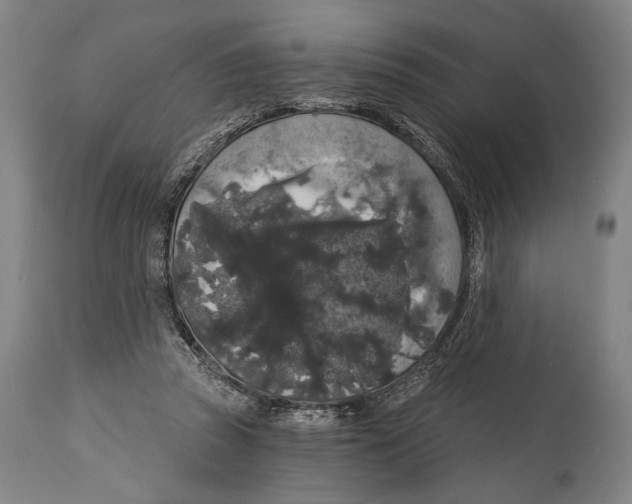 X0000114440353200911131521