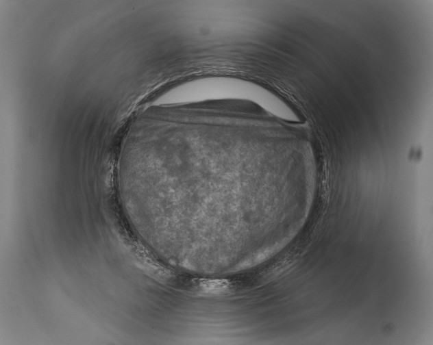 X0000114440355200911131521