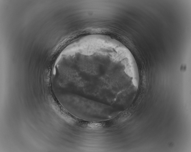 X0000114440357200911131521