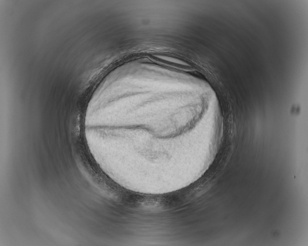X0000114440358200911131521