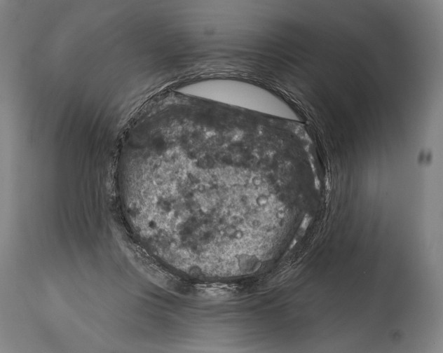 X0000114440359200911131521