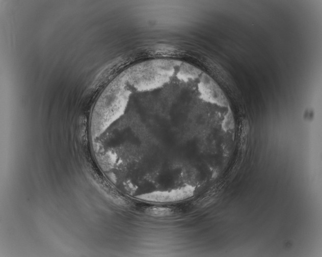 X0000114440361200911131521
