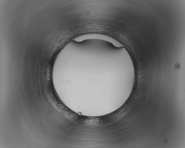 X0000114440362200911131521