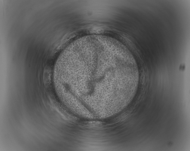 X0000114440363200911131521
