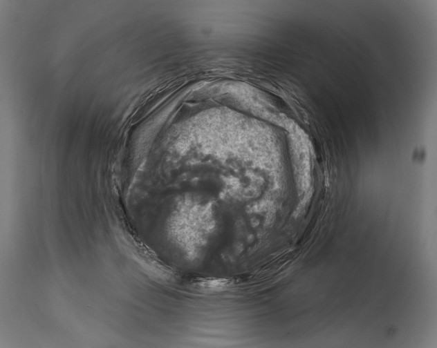 X0000114440365200911131521