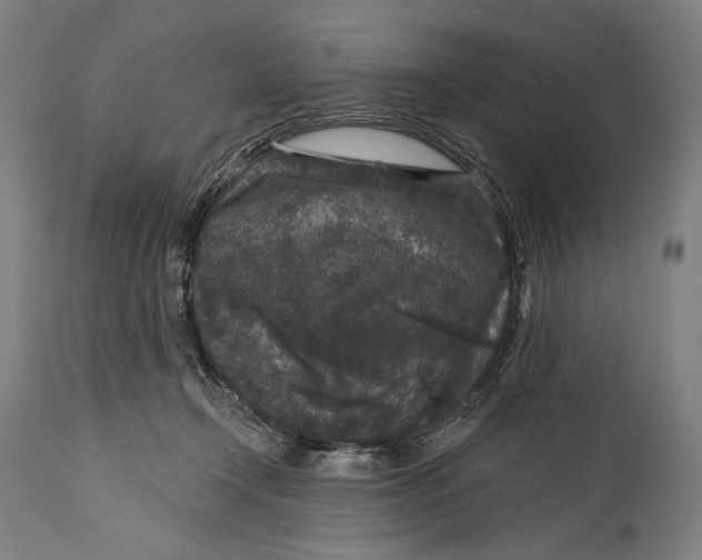 X0000114440366200911131521