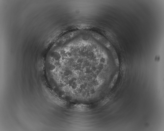 X0000114440367200911131521