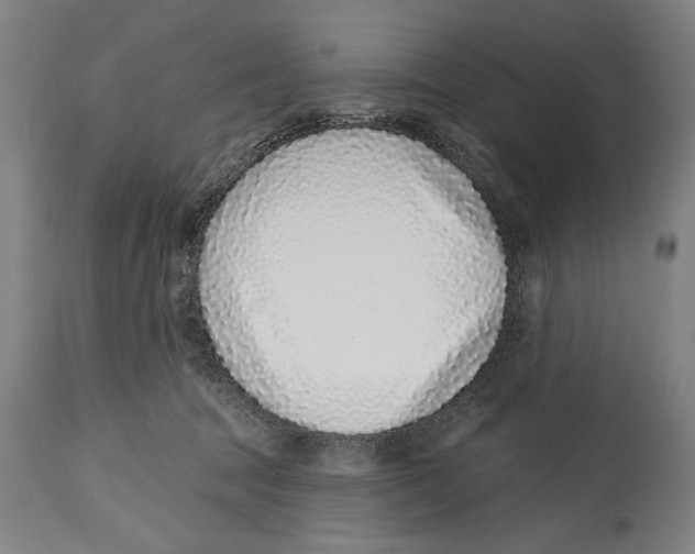 X0000114440369200911131521