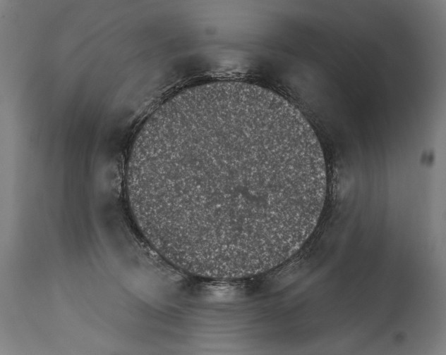 X0000114440370200911131521