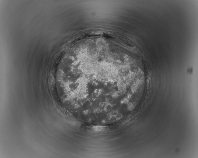 X0000114440371200911131521