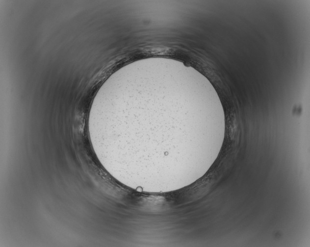 X0000114440374200911131521