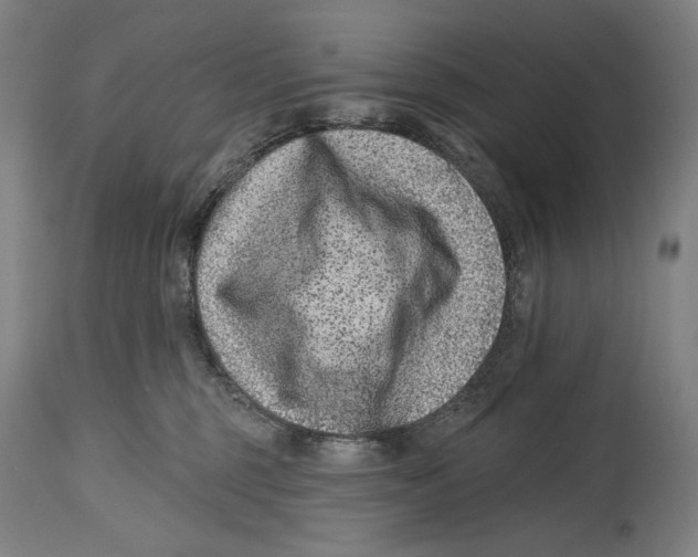 X0000114440375200911131521