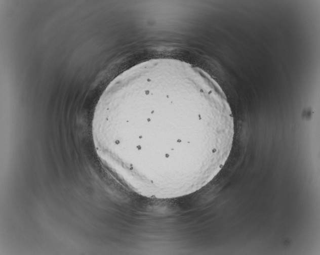 X0000114440377200911131521
