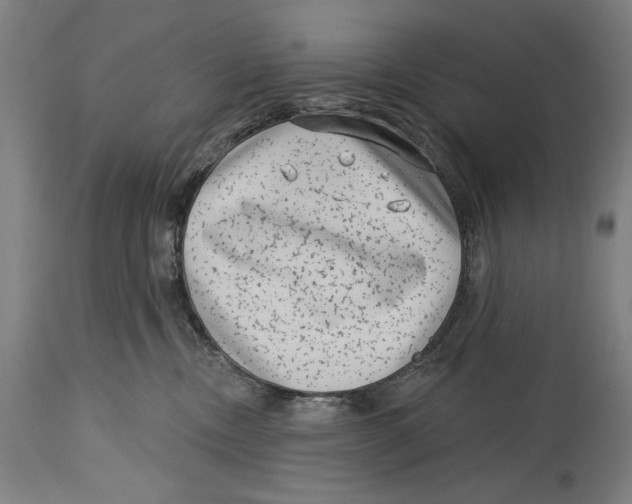 X0000114440378200911131521