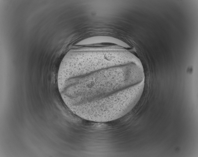 X0000114440379200911131521