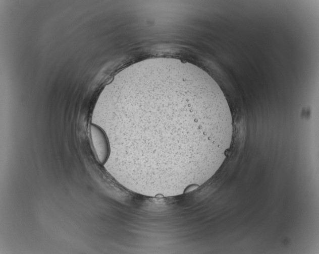 X0000114440381200911131521