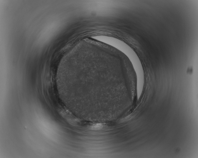 X0000114440382200911131521