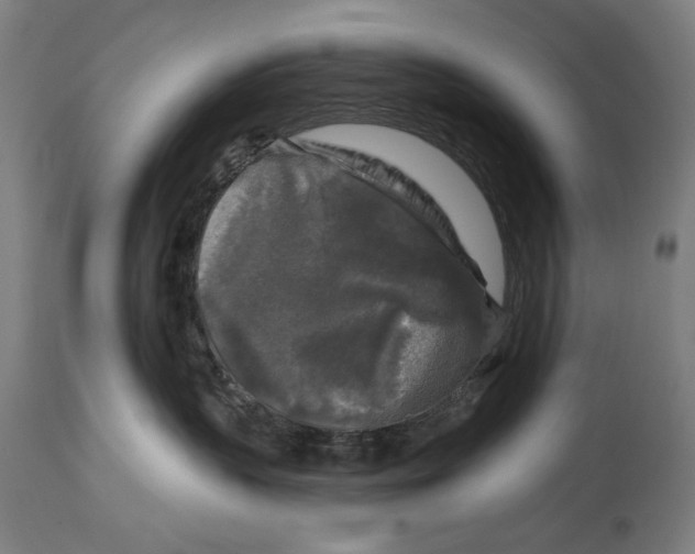X0000114440383200911131521