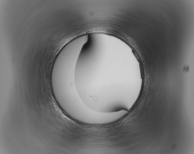 X0000114440385200911131520