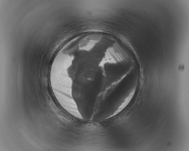 X0000114440386200911131520