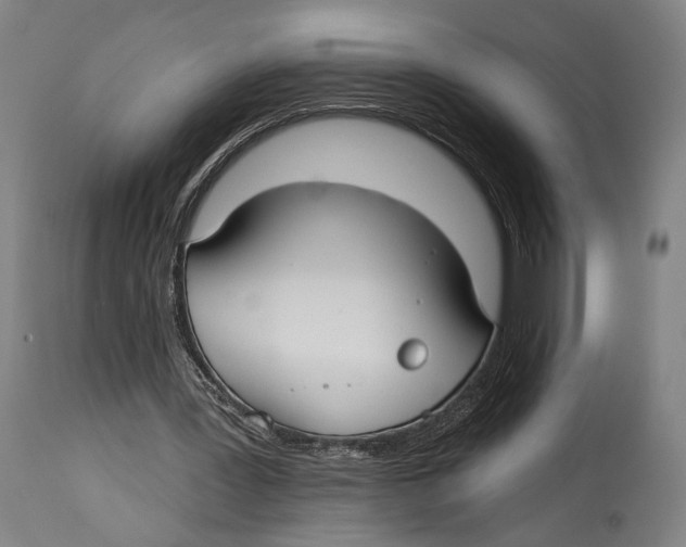 X0000114440387200911131520