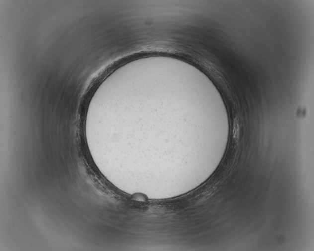 X0000114440388200911131520