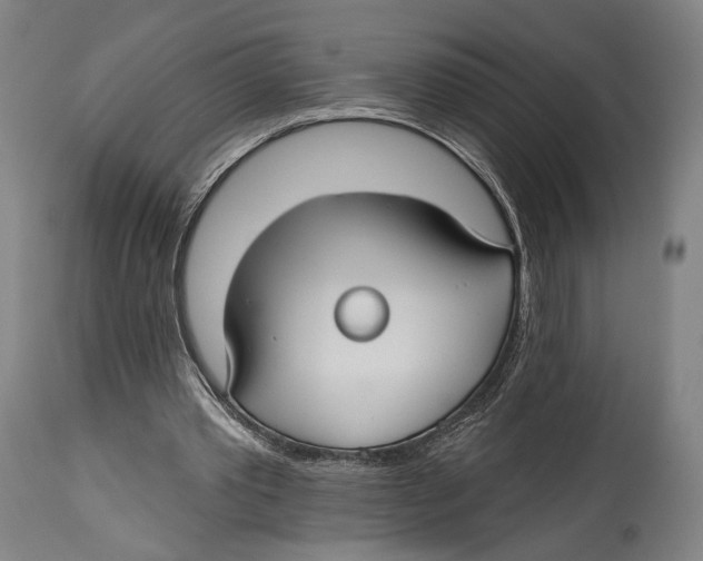 X0000114440389200911131520