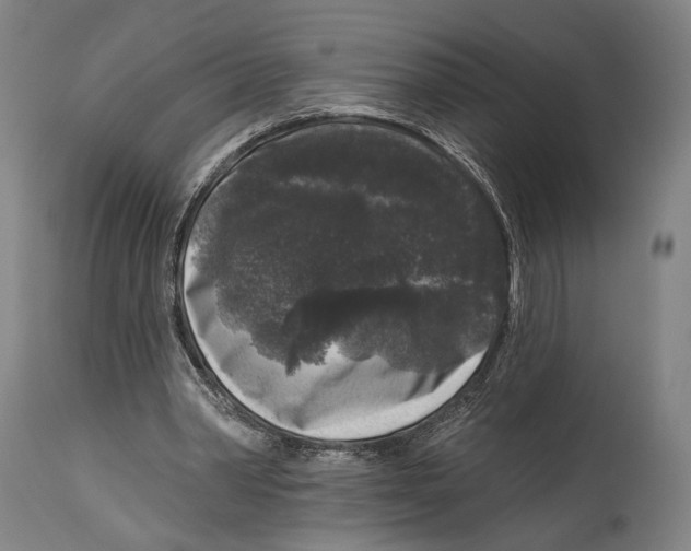 X0000114440390200911131520