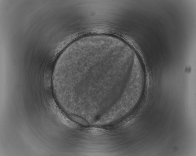 X0000114440393200911131520