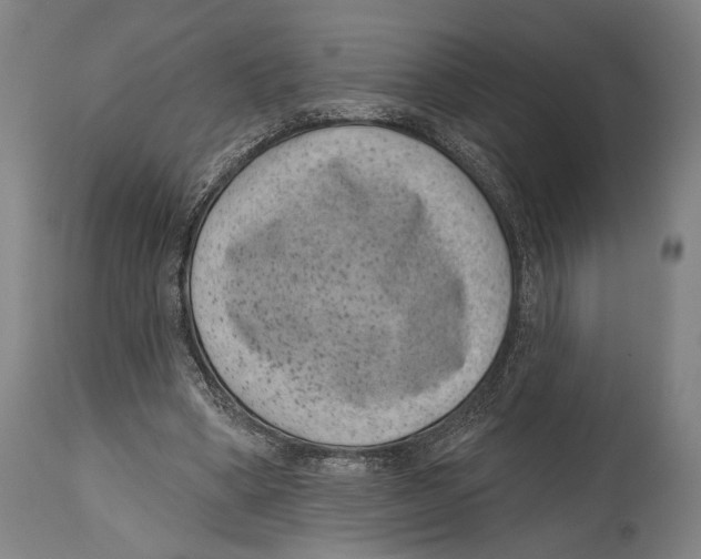 X0000114440394200911131520