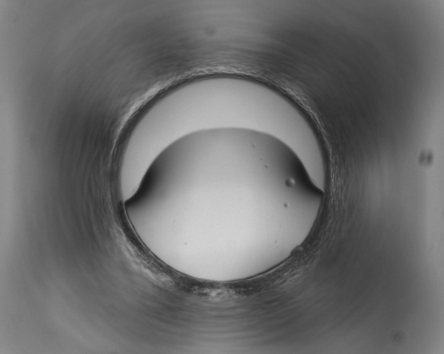 X0000114440395200911131520