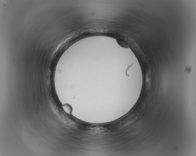X0000114440396200911131520