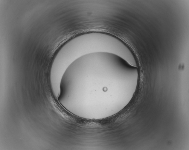 X0000114440397200911131520