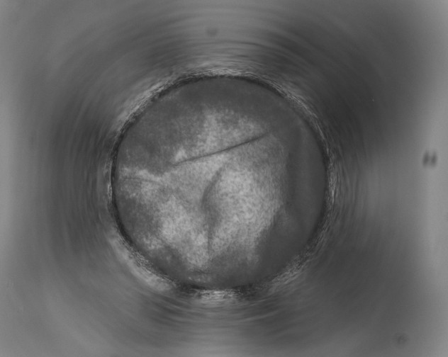 X0000114440398200911131520