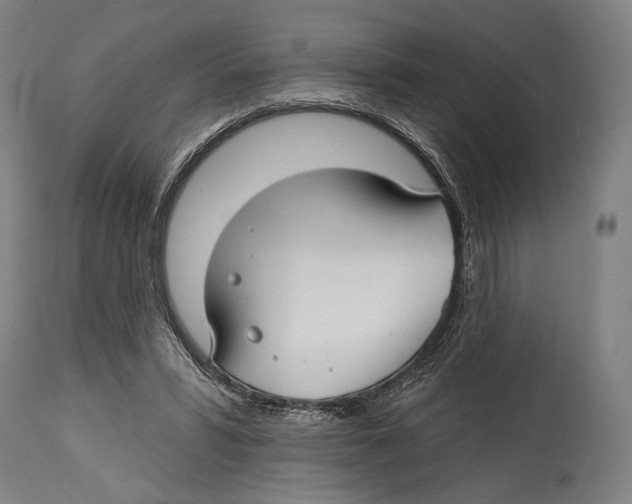 X0000114440399200911131520