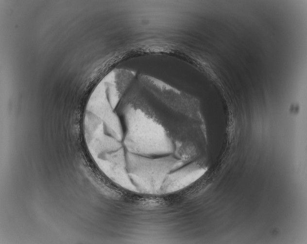 X0000114440402200911131520