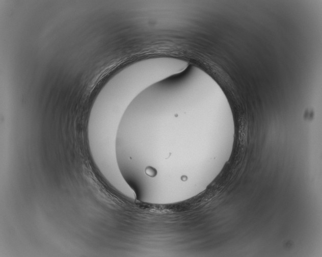 X0000114440403200911131520