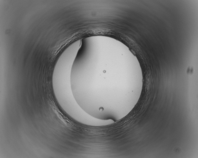 X0000114440405200911131520