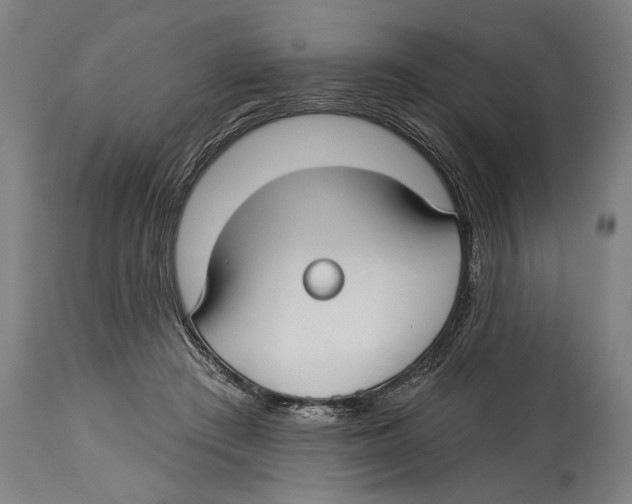 X0000114440409200911131520