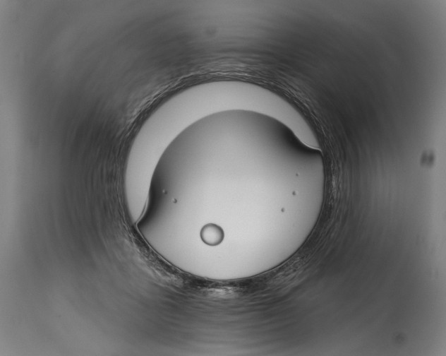 X0000114440411200911131520