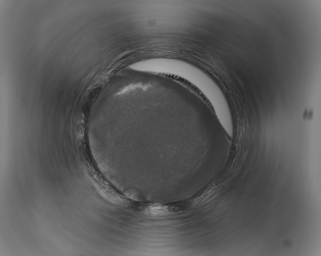 X0000114440413200911131520